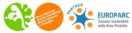 Casentinesi Forests National Park, Europarc partner for sustainable tourism.